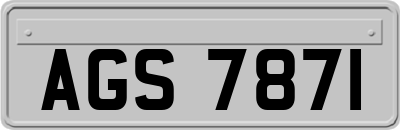 AGS7871