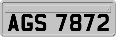 AGS7872