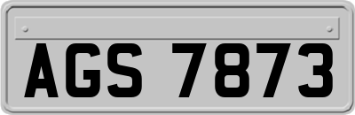 AGS7873