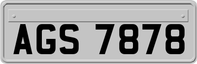 AGS7878