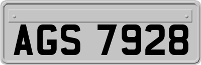 AGS7928