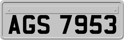 AGS7953