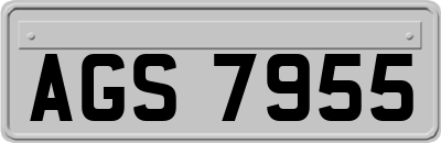 AGS7955