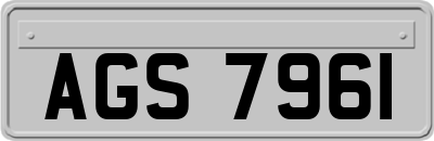 AGS7961