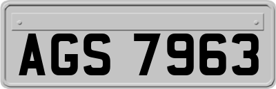 AGS7963