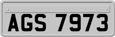 AGS7973