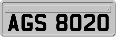 AGS8020