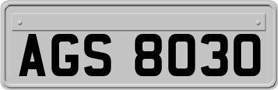 AGS8030