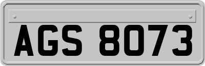 AGS8073