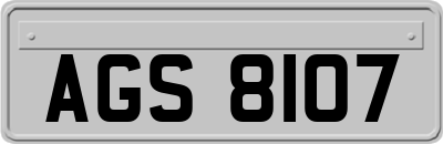 AGS8107