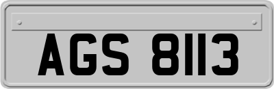 AGS8113