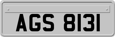 AGS8131