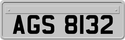 AGS8132