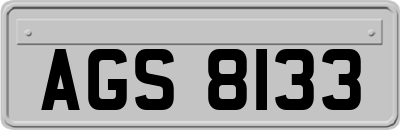 AGS8133
