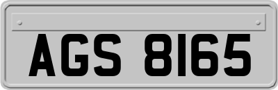 AGS8165