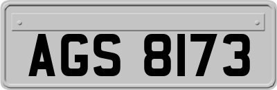 AGS8173