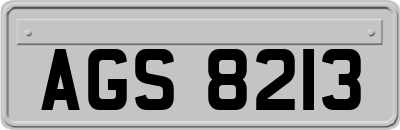 AGS8213