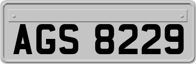 AGS8229