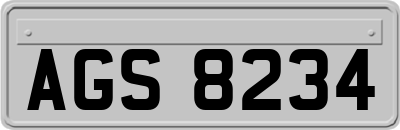 AGS8234