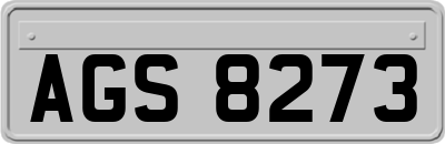 AGS8273