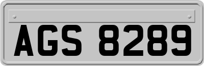 AGS8289