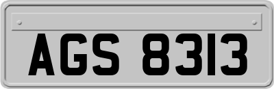 AGS8313