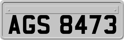 AGS8473