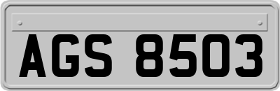 AGS8503