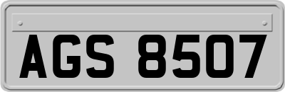 AGS8507