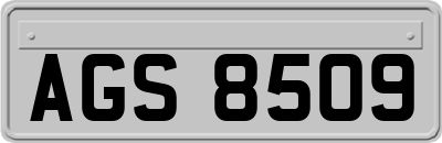 AGS8509