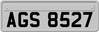 AGS8527