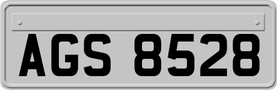 AGS8528