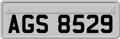 AGS8529
