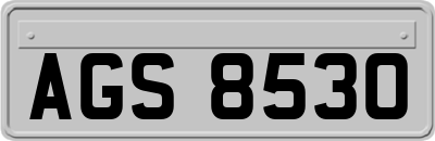AGS8530