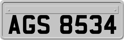 AGS8534
