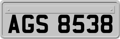 AGS8538