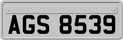 AGS8539