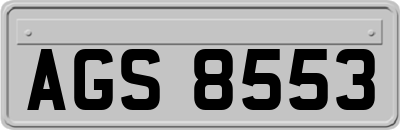 AGS8553