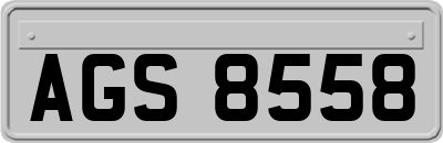 AGS8558
