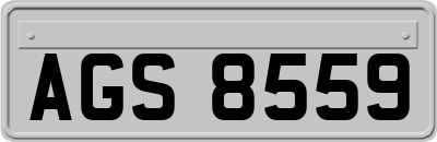 AGS8559