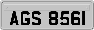 AGS8561