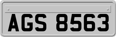 AGS8563