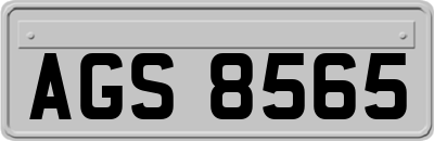 AGS8565
