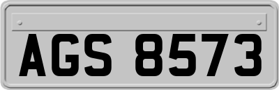 AGS8573