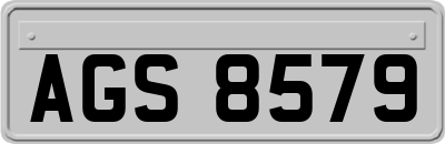 AGS8579
