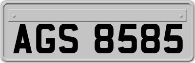 AGS8585