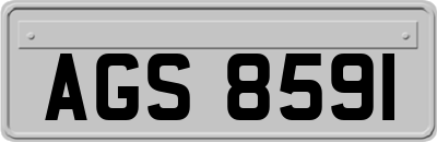 AGS8591