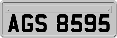 AGS8595