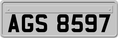 AGS8597