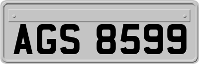 AGS8599